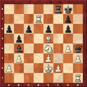 mamedyarov-domin-2